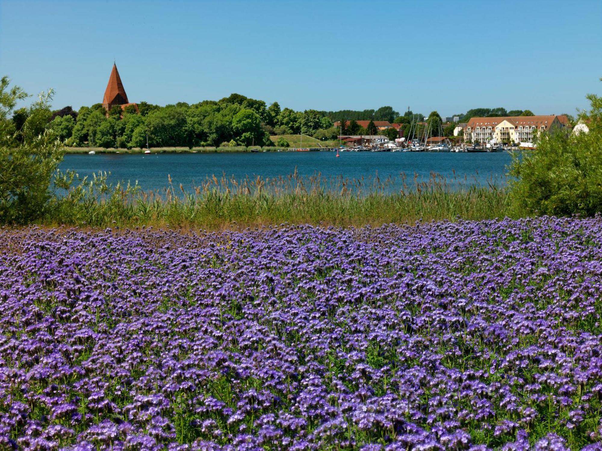 דירות Kirchdorf  Residenz Am Yachthafen Windspiel מראה חיצוני תמונה